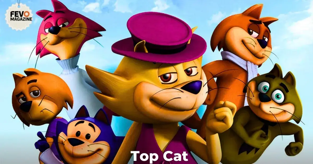 Top Cat