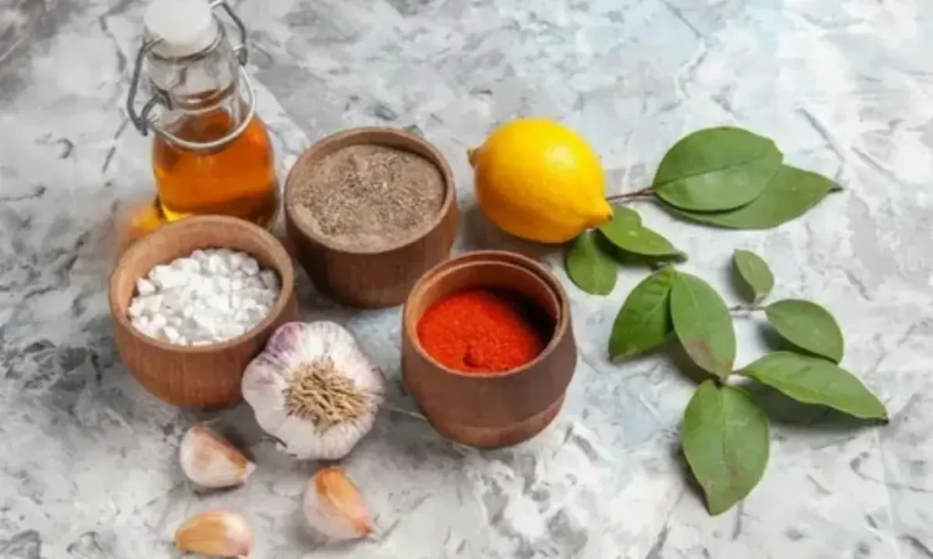 Evaluating the Risk of Inactive Ingredients
