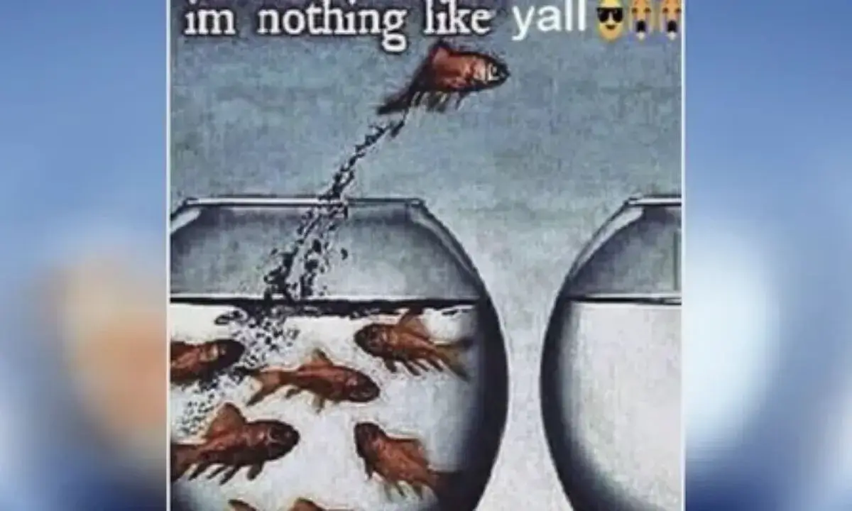 300+ Funny Replies to “Nothing Much”