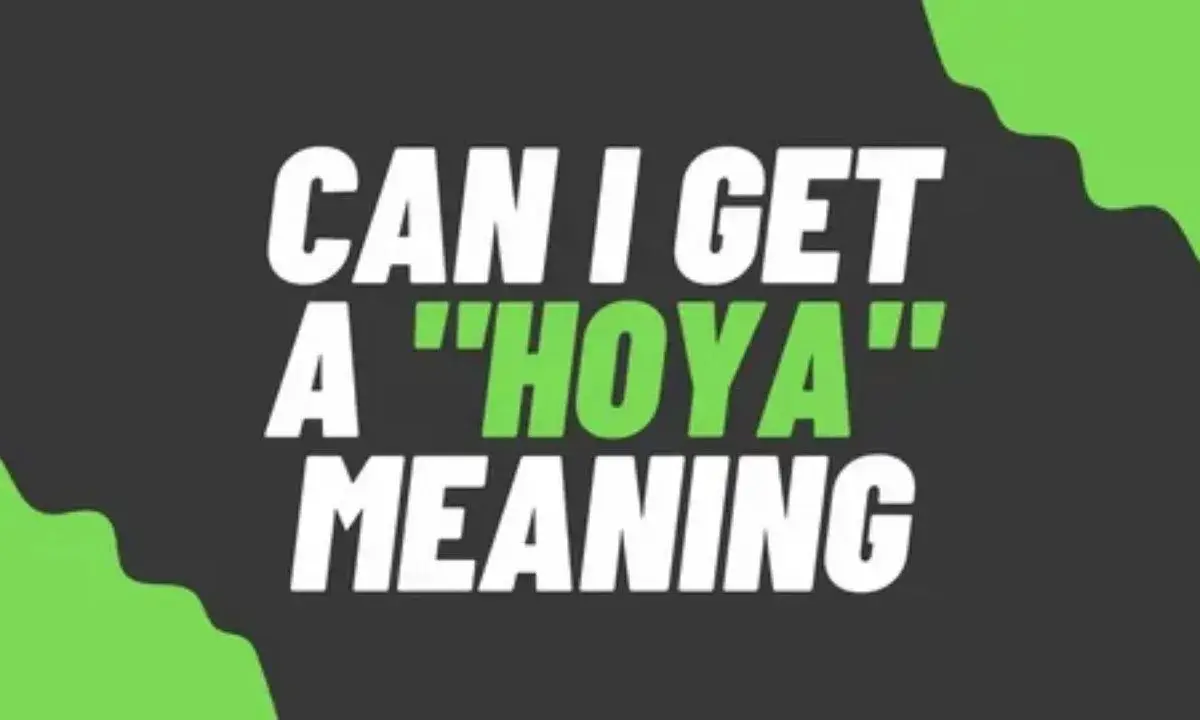 Can I Get a Hoya? Meaning, Origin & How to Use It
